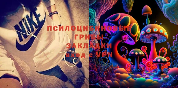 хмурый Михайловск