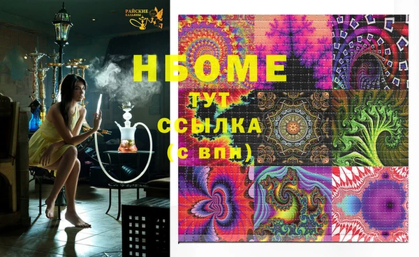 PSILOCYBIN Бородино