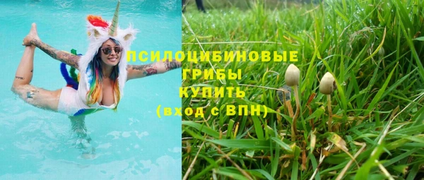 прущая мука Михайлов