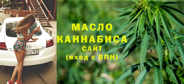 сатива Аша