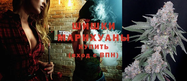 дмт Надым