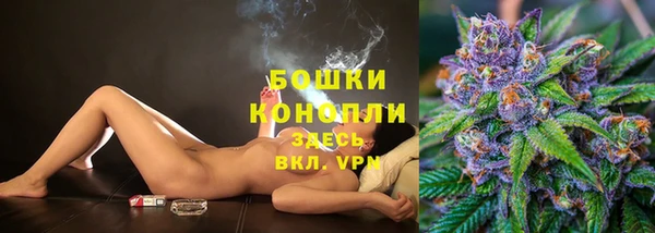 хмурый Михайловск