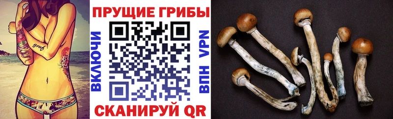 Псилоцибиновые грибы MAGIC MUSHROOMS  хочу   Никольск 