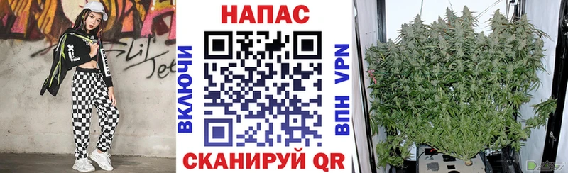 Марихуана MAZAR  Никольск 